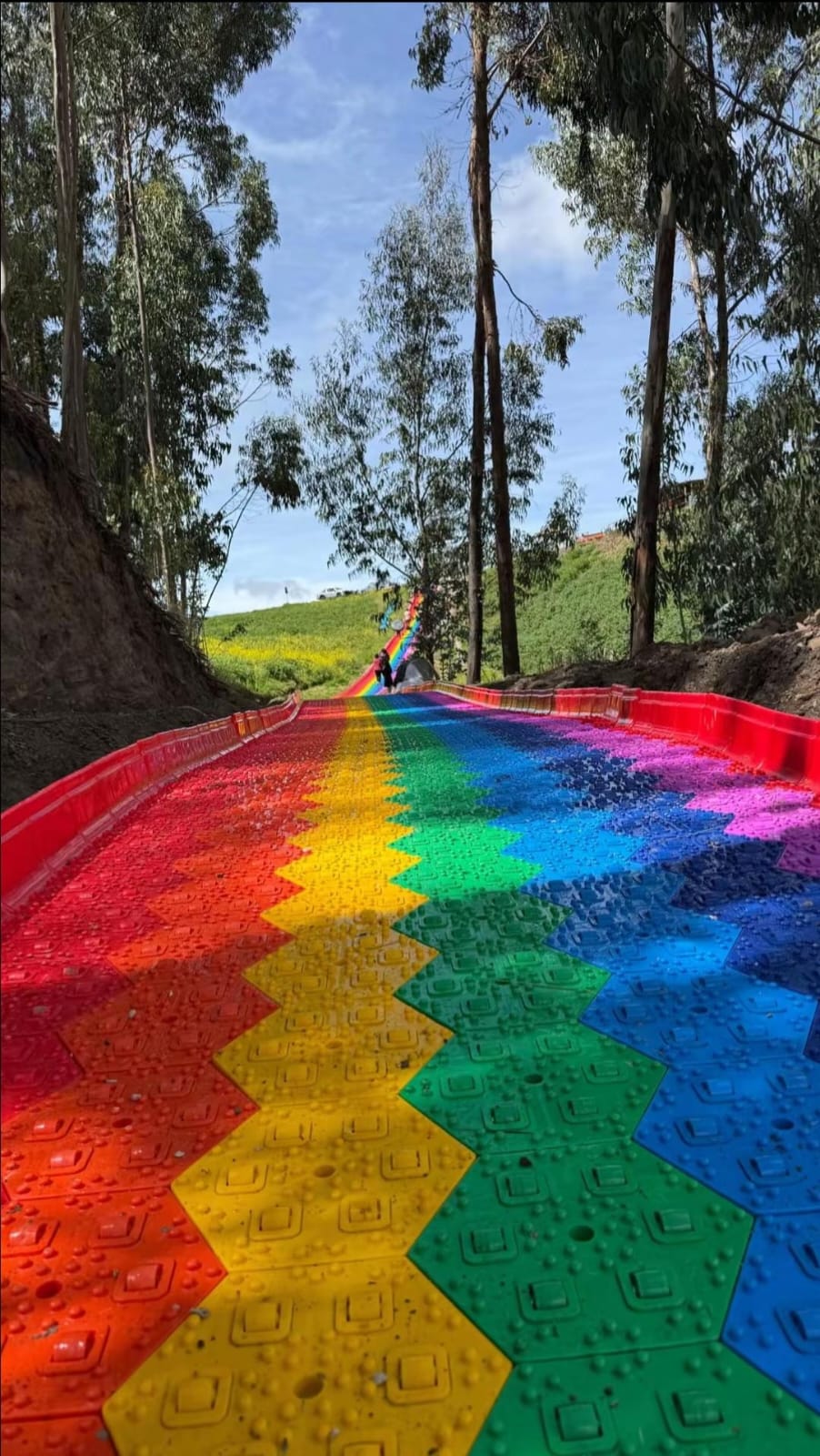 Los colores de la resbaladera entre los árboles del fundo